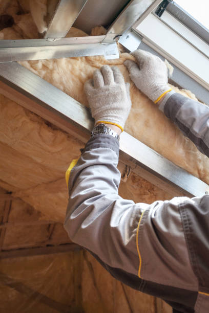 Best Wall Insulation Installation  in Kincaid, IL