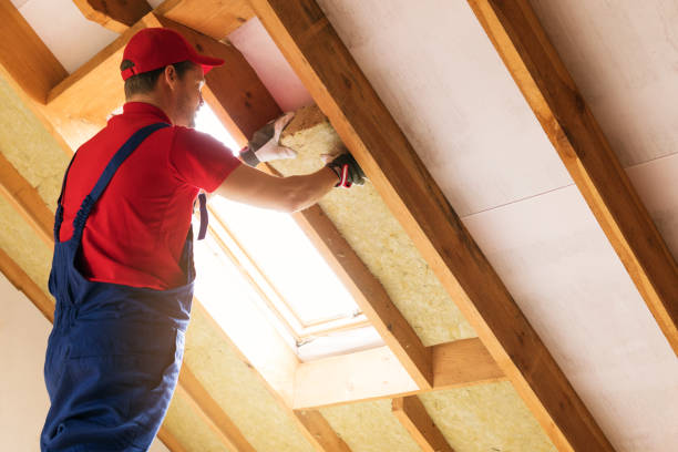 Best Radiant Barrier Insulation  in Kincaid, IL